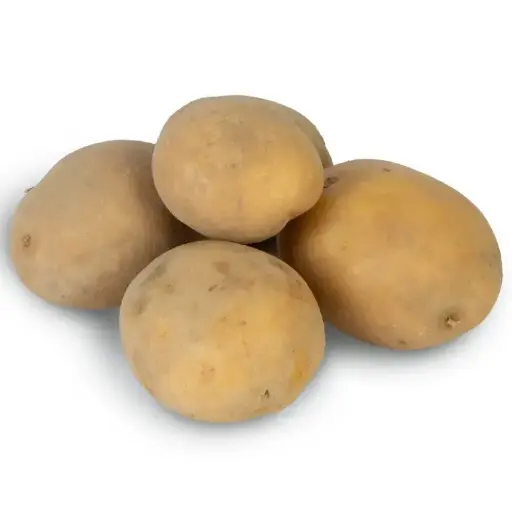 سیب زمینی